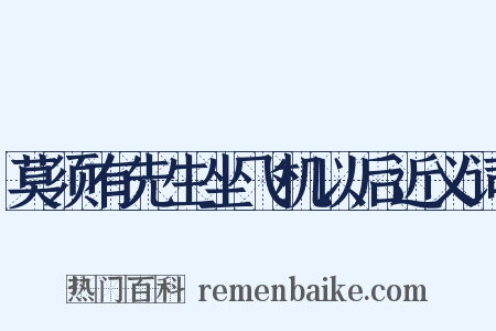 莫须有先生坐飞机以后近义词是什么意思的图片